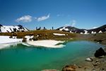 Image of DISCOVERY LODGE SHUTTLES - Whakapapa